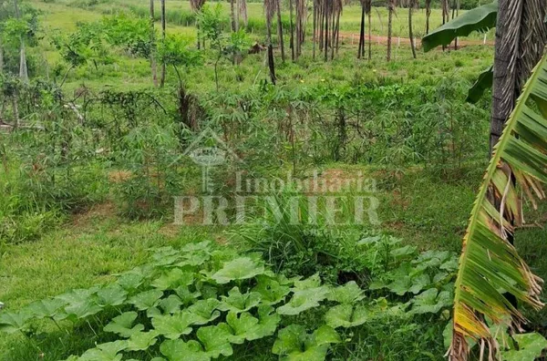 CH3612- Chácara para venda, 2 dormitórios, Cosmorama/SP