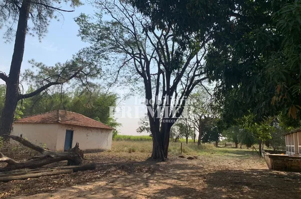 Cód.;SI2626 Sitio - 8,11 alqueires -  Penápolis/SP