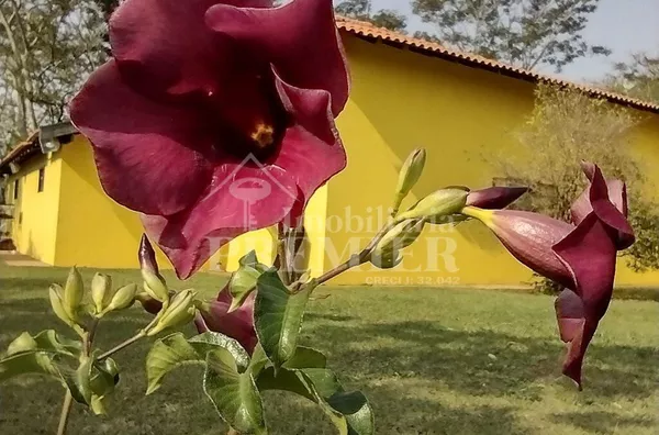 SI3578 - Sítio para venda, -Zona Rural- Bady Bassitt, São José Do Rio Preto