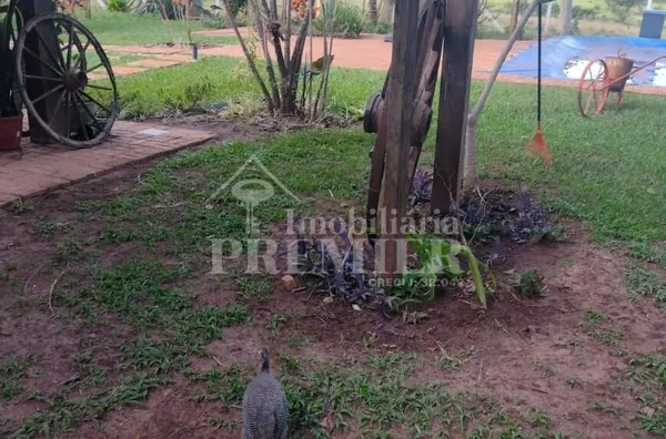 SI3578 - Sítio para venda, -Zona Rural- Bady Bassitt, São José Do Rio Preto