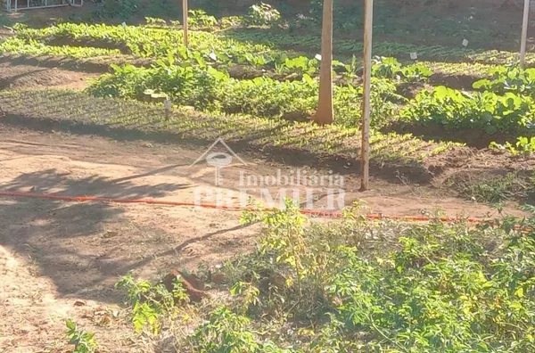 Cód.: CH2617 - Chácara - 9 Dormitórios - Jardim Veneza- São José Do Rio Preto/SP