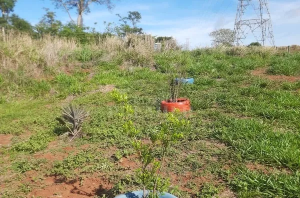 SI3610 - Sítio para venda, 1,25 alqueires -Zona Rural- Tanabi/SP.