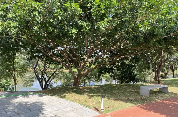 CA3469 - Casa de condomínio para venda, 3 quarto(s),  Residencial Gaivota I, São José Do Rio Preto