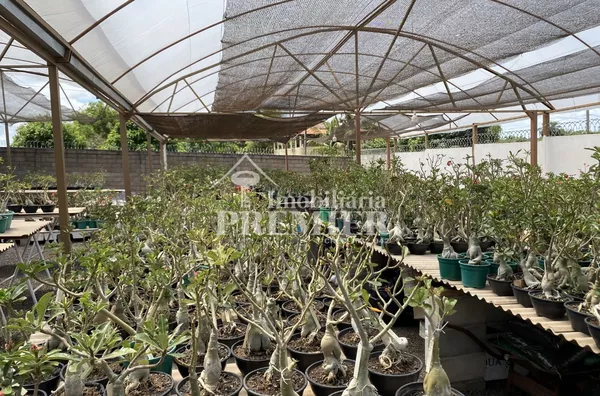 Cód.: CH2629 - Chácara - 5 Dormitórios - Est. Recreio da Felicidade - São José do Rio Preto/SPo