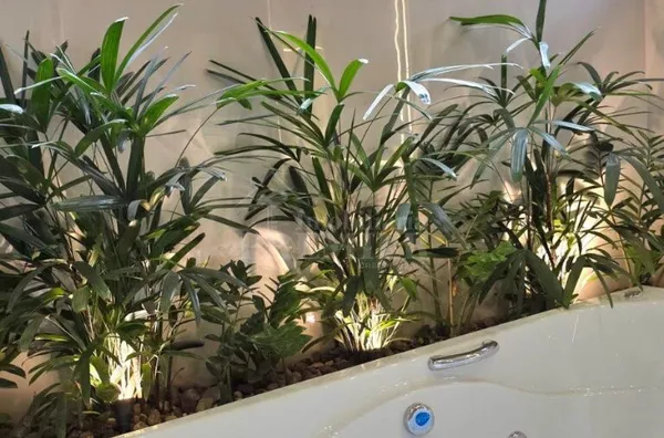 CA3774 - Casa de condomínio para venda,  Residencial Gaivota Ii, São José Do Rio Preto