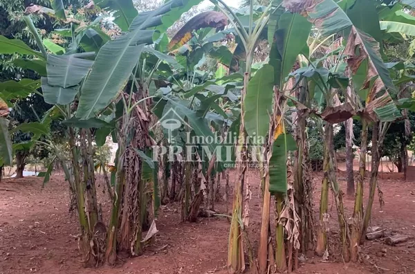 Cód.;SI2912 - Sítio 34.000M²- Castores - Onda Verde/SP