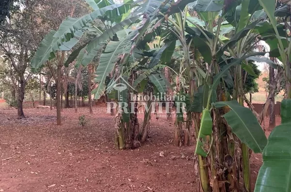 Cód.;SI2912 - Sítio 34.000M²- Castores - Onda Verde/SP