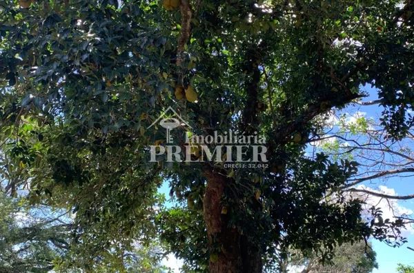 Cód.;SI2626 Sitio - 8,11 alqueires -  Penápolis/SP