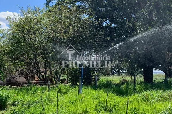 Cód.;SI2626 Sitio - 8,11 alqueires -  Penápolis/SP