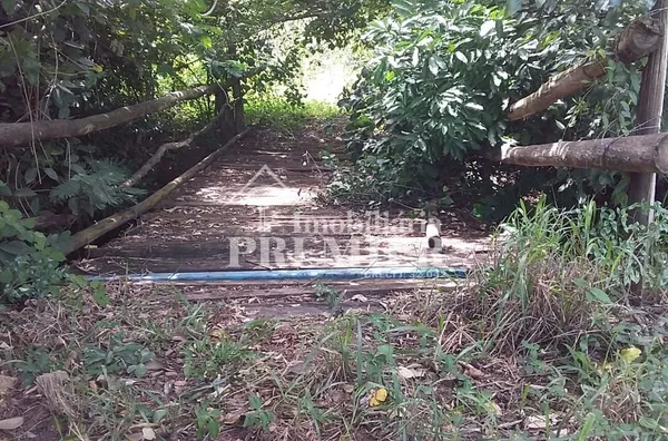 Cód.;SI3400 - Sítio - 15 hectares  - Neves Paulistal/SP