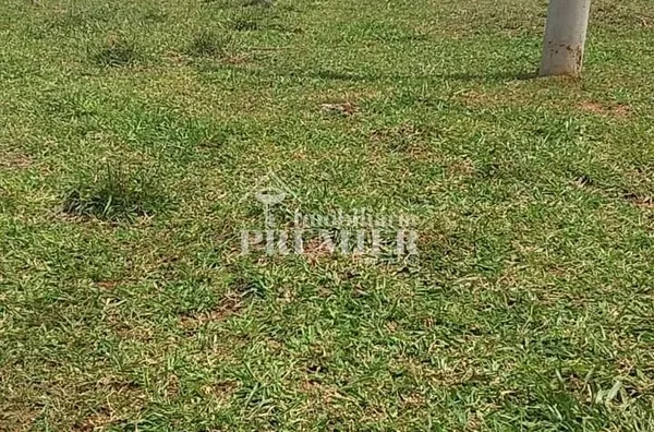 Cód.;SI3400 - Sítio - 15 hectares  - Neves Paulistal/SP