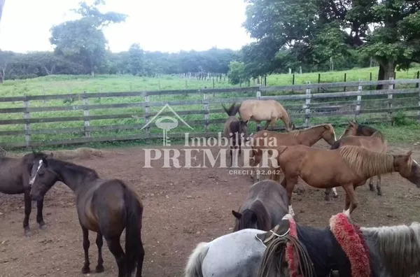 Cód.; FA2919 -Fazenda - 1952 hectares - Poconé/MT