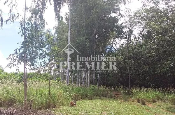 Cód.;SI3400 - Sítio - 15 hectares  - Neves Paulistal/SP