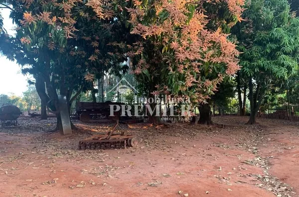 Cód.;SI2912 - Sítio 34.000M²- Castores - Onda Verde/SP