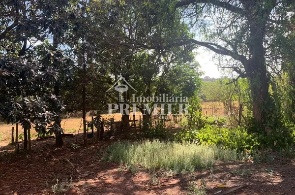 Cód.;SI3400 - Sítio - 15 hectares  - Neves Paulistal/SP