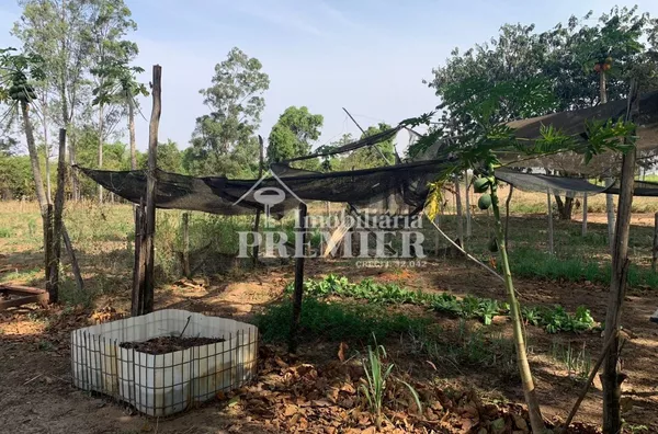 Cód.;SI2626 Sitio - 8,11 alqueires -  Penápolis/SP