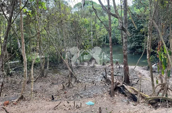 Chácara para venda,  Rio Caiabi, Sinop