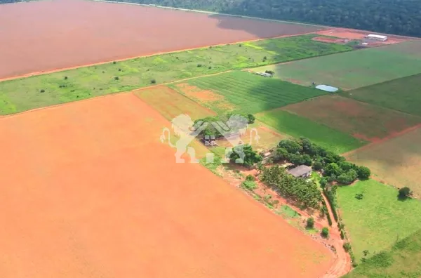Chácara para venda,  Comunidade Atlantica, Sinop