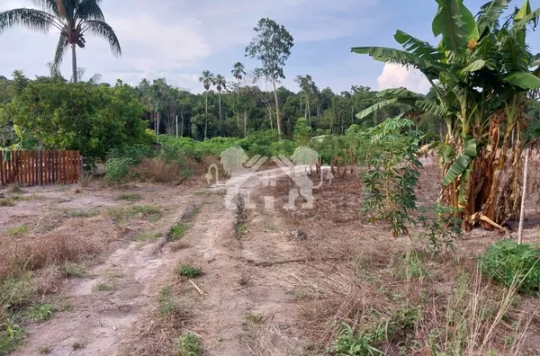 Chacara/sitio para venda,  - Selecione - Bairro, Sinop