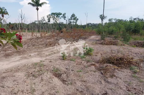 Chacara/sitio para venda,  - Selecione - Bairro, Sinop