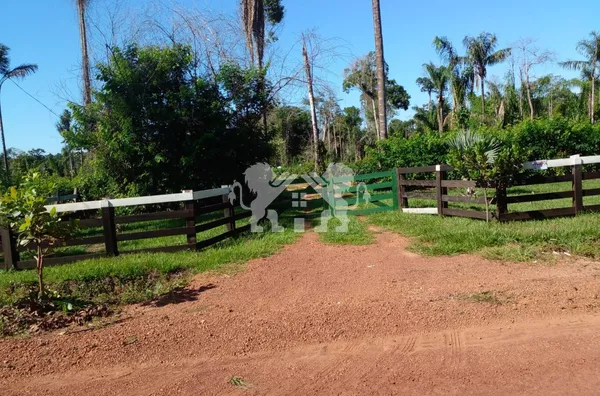 Chácara para Venda,  no Cantinho Da Floresta, em Sinop MT