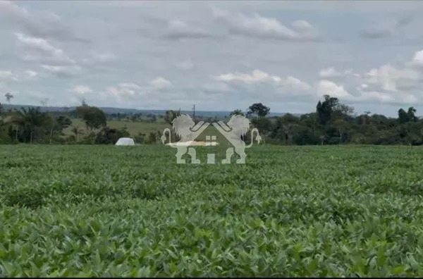 Área  para venda,  Gleba Mercedes, Sinop