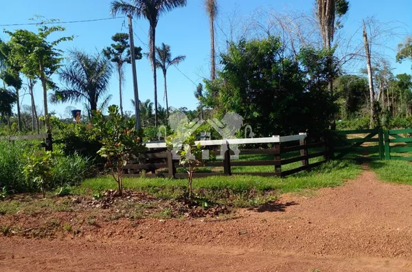 Chácara para Venda,  no Cantinho Da Floresta, em Sinop MT