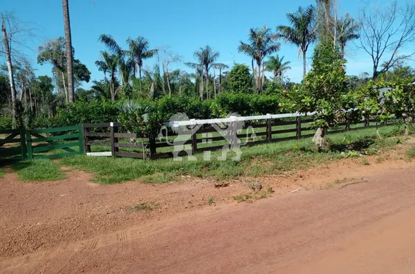 Chácara para Venda,  no Cantinho Da Floresta, em Sinop MT
