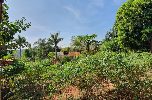 Chácara - Agua Faca - Piratininga - Foto 22