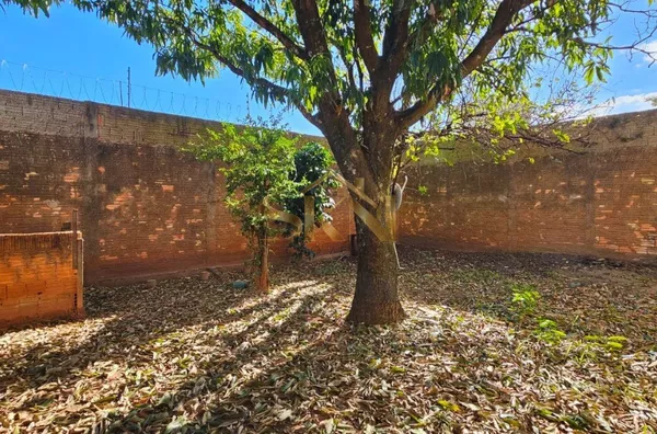 Jardim Ivone/ Quinta Bela Olinda toda em Lage - Foto 14
