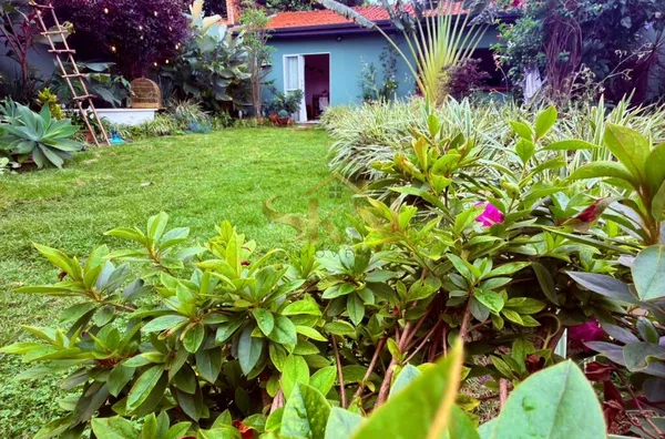Parque Vista Alegre, C/ quintal grande
