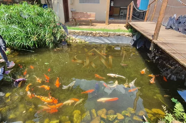 Jardim Vila Celina - Linda Casa Quintal Enorme - Foto 3