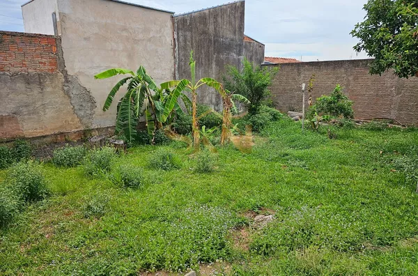 Alto Paraiso + Terreno Amplo + ótima localização - Foto 11