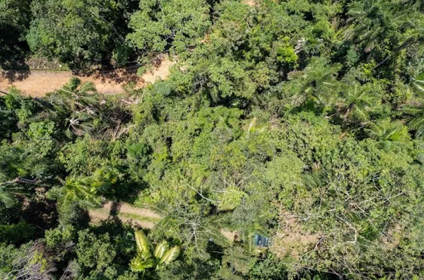 LOTE NO FÉLIX COM VISTA PARCIAL DO MAR