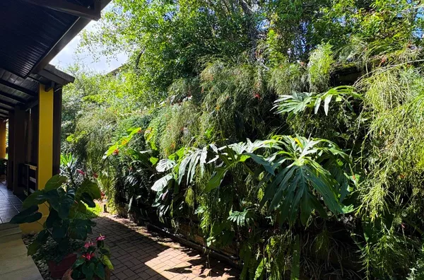 A apenas 30 metros da praia de Itamambuca, em rua par.