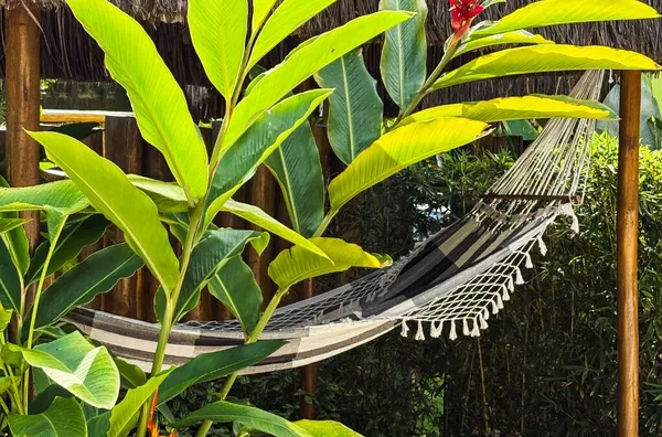 Venda: casa contemporânea com piscina, spa e 4 suítes em Itamambuca