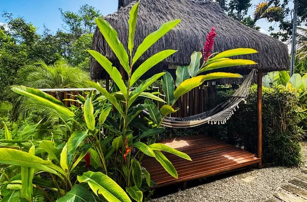 Venda: casa contemporânea com piscina, spa e 4 suítes em Itamambuca