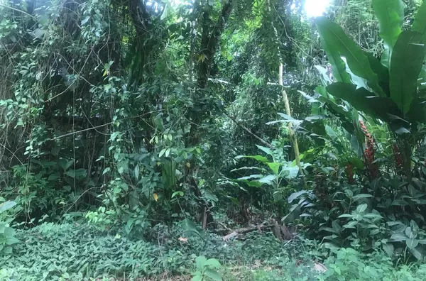 Lote em rua impar a 400 metros da praia