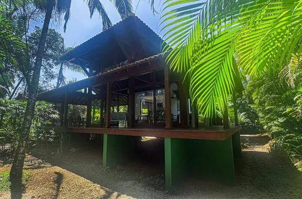 Casa estilo balinês à venda - 4 dormitórios - Foto 4