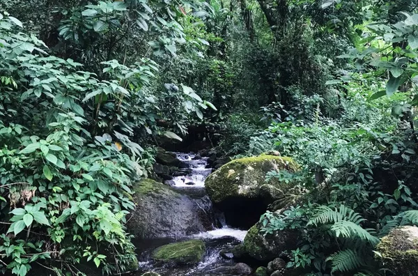 Jungle House: Chácara com Cachoeira e Vista Incrível
