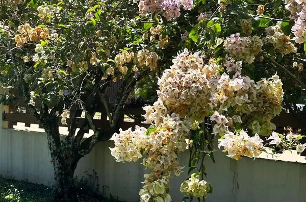 Casa à venda – Dois lotes, localização privilegiada e muito potencial