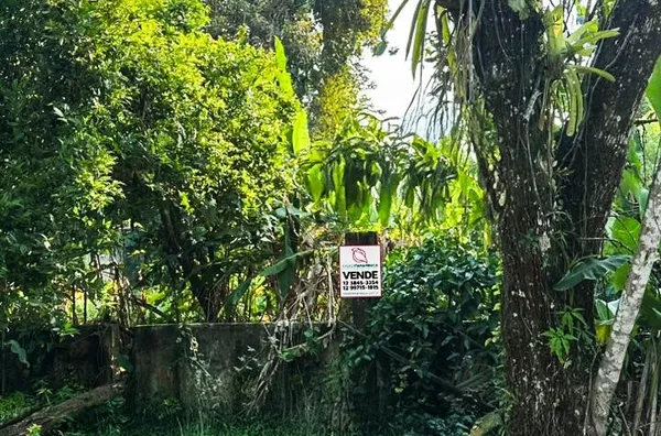 Raridade na Rua 5 – Segundo Lote da Praia