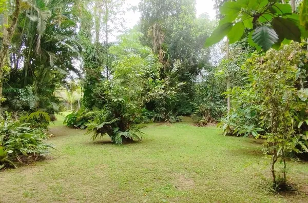Casa Deslumbrante a 180m da Praia de Itamambuca