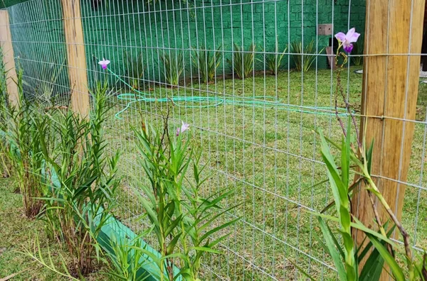 CASA NOVA COM 8 SUITES