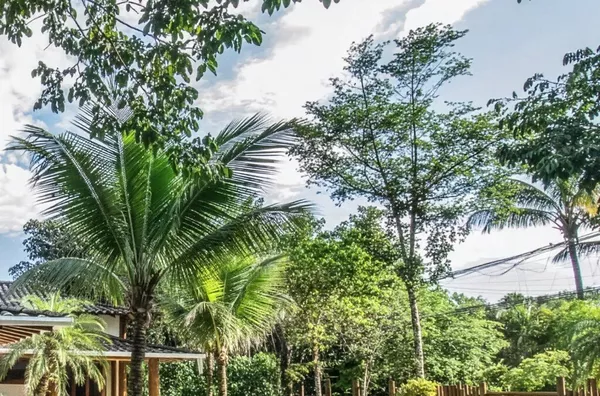 Piscina, Jardim e Muito Espaço ao Ar Livre - RUA PAR 