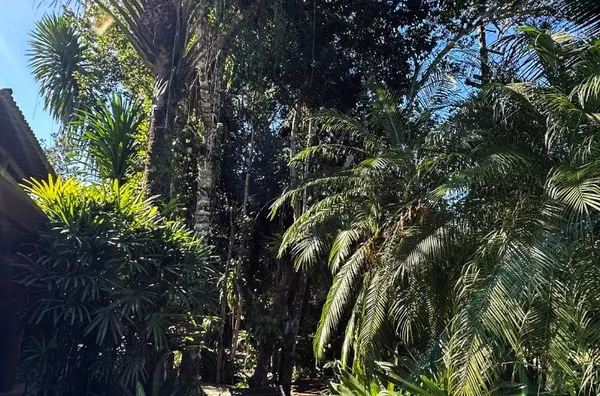 Piscina, jardim e mar bem pertinho: sua casa na praia dos sonhos