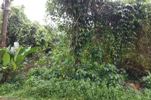 LOTE RUA IMPAR, 500 METROS DA PRAIA