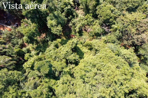 Terreno para venda,  Félix, Ubatuba - OPORTUNIDADE