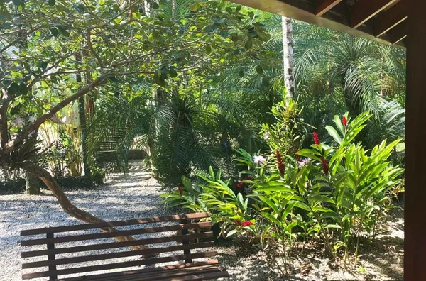 Casa com jardim exuberante - rua par