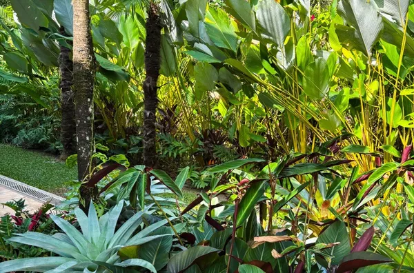 5 suítes a poucos passos do paraíso!